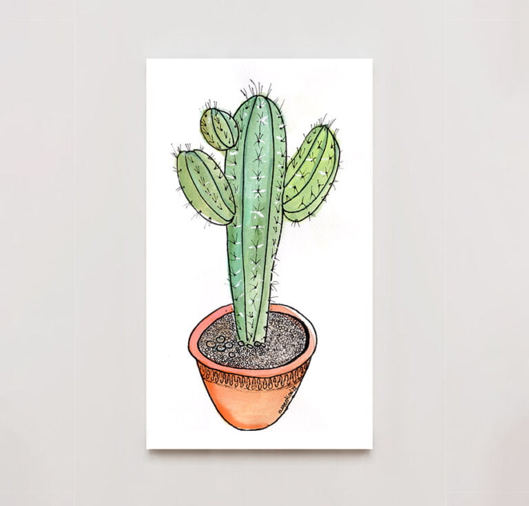 ilustración-Cactus