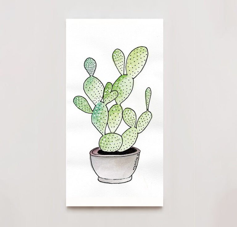 ilustración-Cactus2